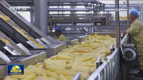 全國脫貧地區農副產品網絡銷售平臺成交額近500億元