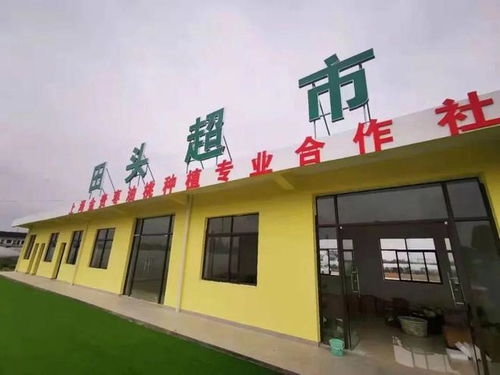 全國第三 上海唯一 從農(nóng)民到 網(wǎng)紅主播 ,她帶火了